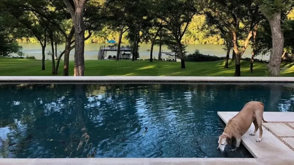 Joe Rogan's Swimming Pool